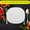 Elegant & Classy Disposable plates for parties, 30pcs 10.25